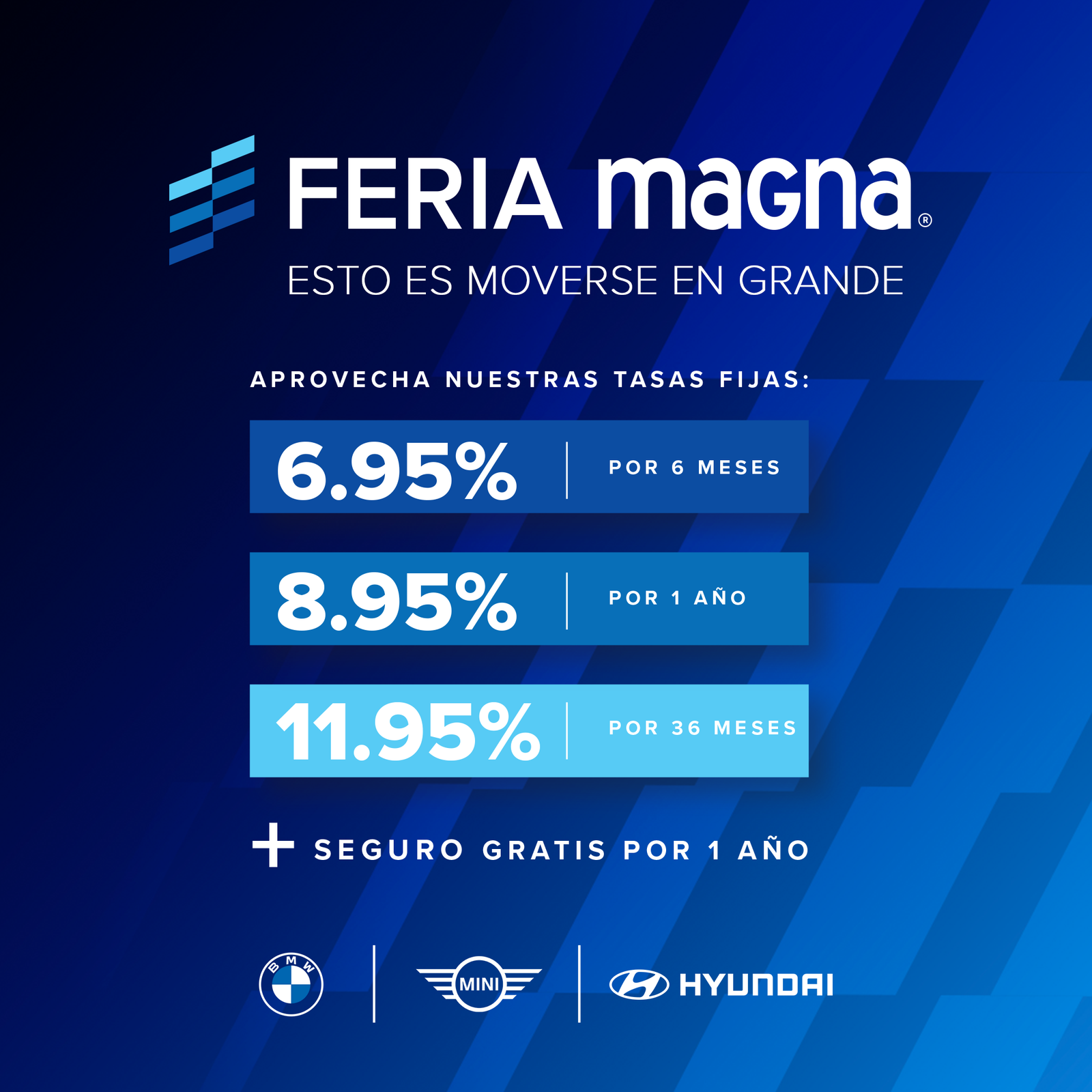 Promocion Magna